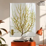 Seaweed 36