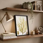Seaweed 36