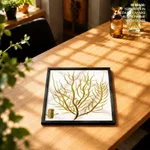 Seaweed 36