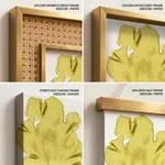 Seaweed 37
