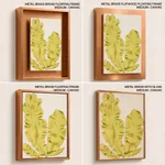 Seaweed 37