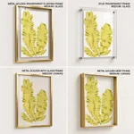 Seaweed 37