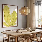 Seaweed 37