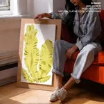 Seaweed 37