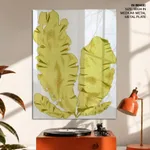 Seaweed 37
