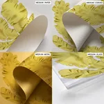 Seaweed 37