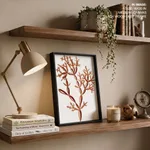 Seaweed 39