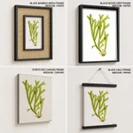 Seaweed 40