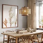 Seaweed 42