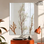 Seaweed 42