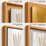 Seaweed 44