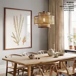Seaweed 44
