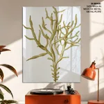 Seaweed 45