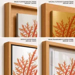 Red-seaweed 1