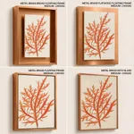 Red-seaweed 1