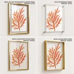 Red-seaweed 1