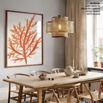 Red-seaweed 1