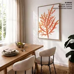 Red-seaweed 1