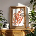 Red-seaweed 1