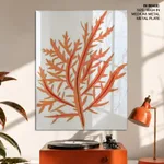 Red-seaweed 1