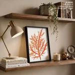 Red-seaweed 1