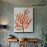 Red-seaweed 1