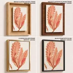 Red-seaweed 3