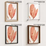 Red-seaweed 3