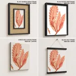 Red-seaweed 3