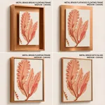Red-seaweed 3