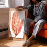 Red-seaweed 3