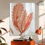 Red-seaweed 3