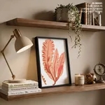 Red-seaweed 3
