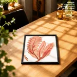 Red-seaweed 3