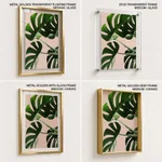 Aloe vera pink