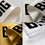 Think big do big