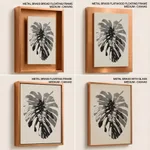 Monstera Pink