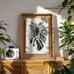 Monstera Pink