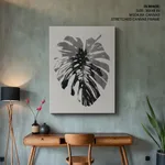 Monstera Pink