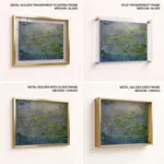 Waterlilies in bloom