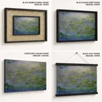 Waterlilies in bloom