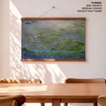 Waterlilies in bloom