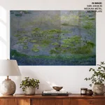Waterlilies in bloom