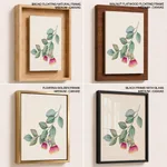 Eucalyptus