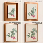 Eucalyptus