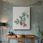 Eucalyptus