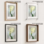 Calla lily