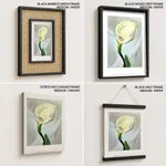 Calla lily