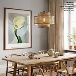 Calla lily