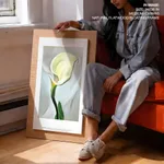 Calla lily